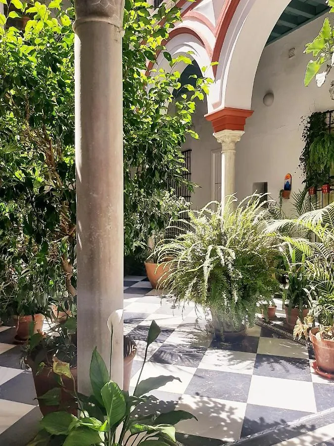 Downtown Loft In A 16Th Century Convent Apartment Seville